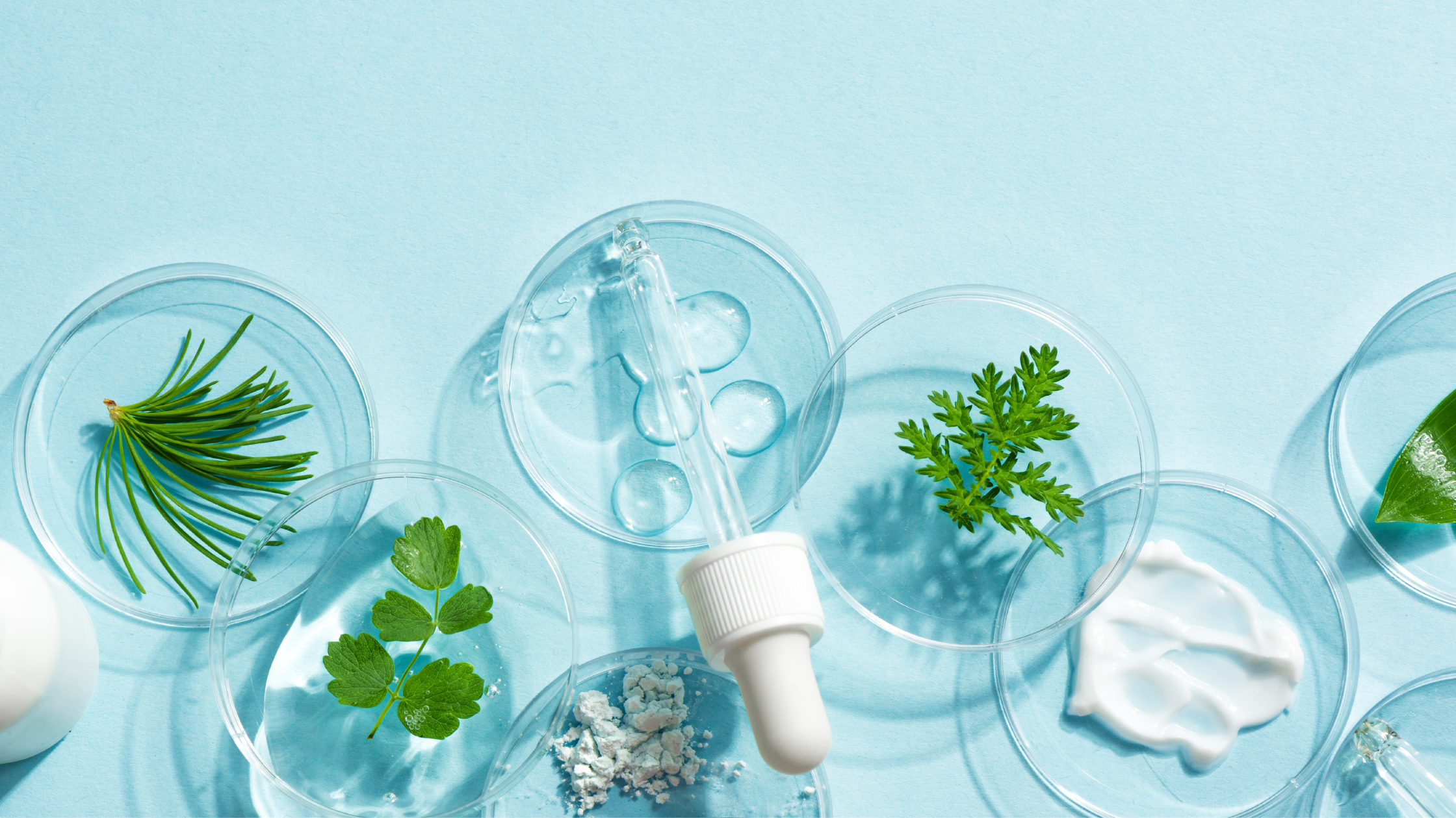Transition vers le naturel : par où commencer avec KEA ?