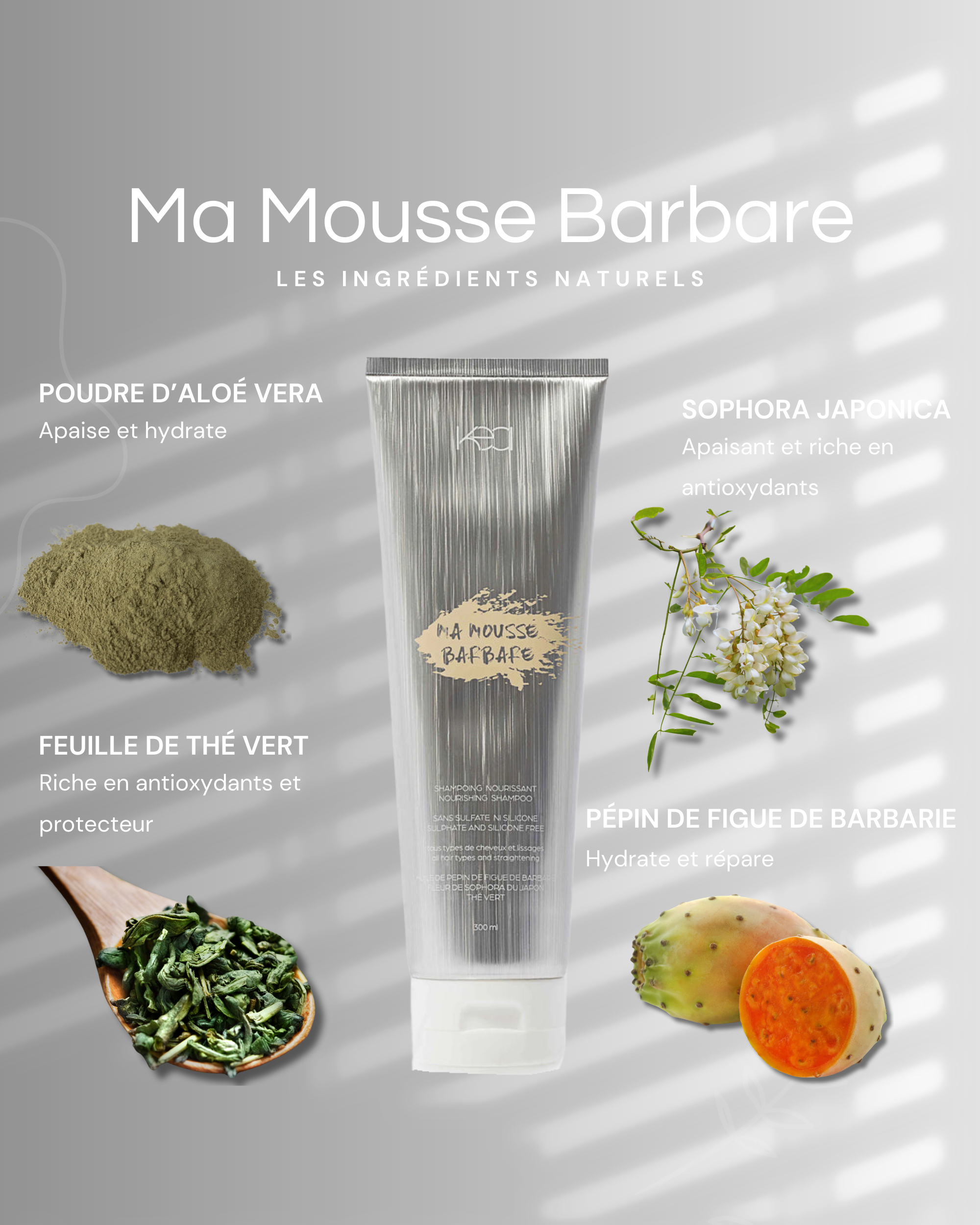 Ma Mousse Barbare