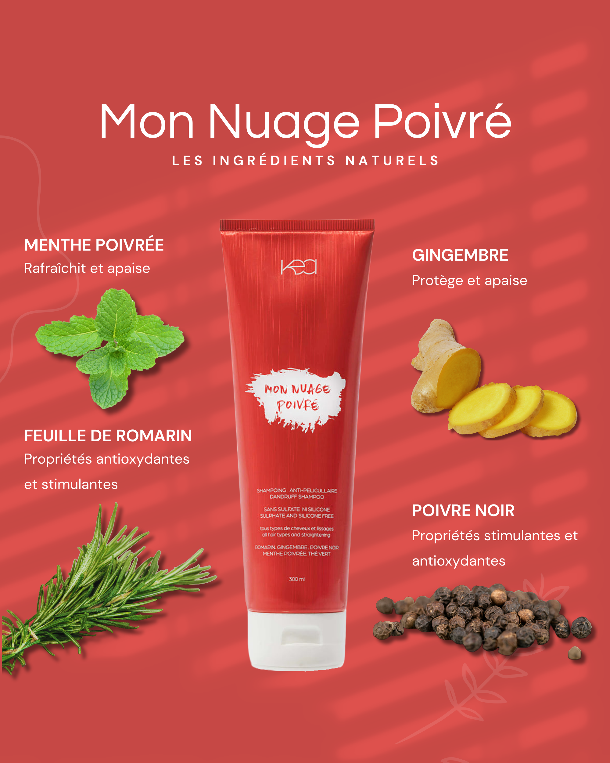 Mon Nuage Poivré