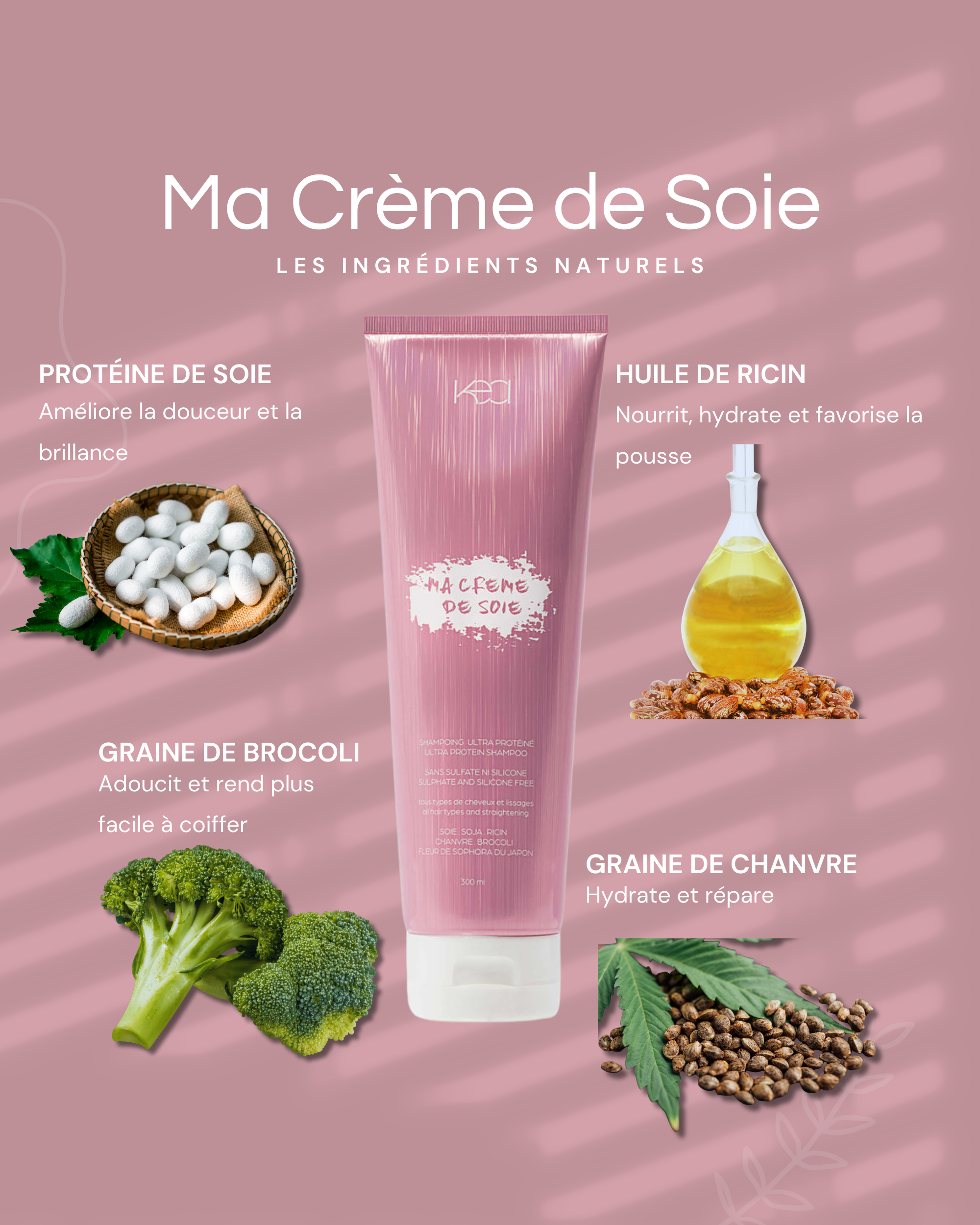 Ma Crème de Soie